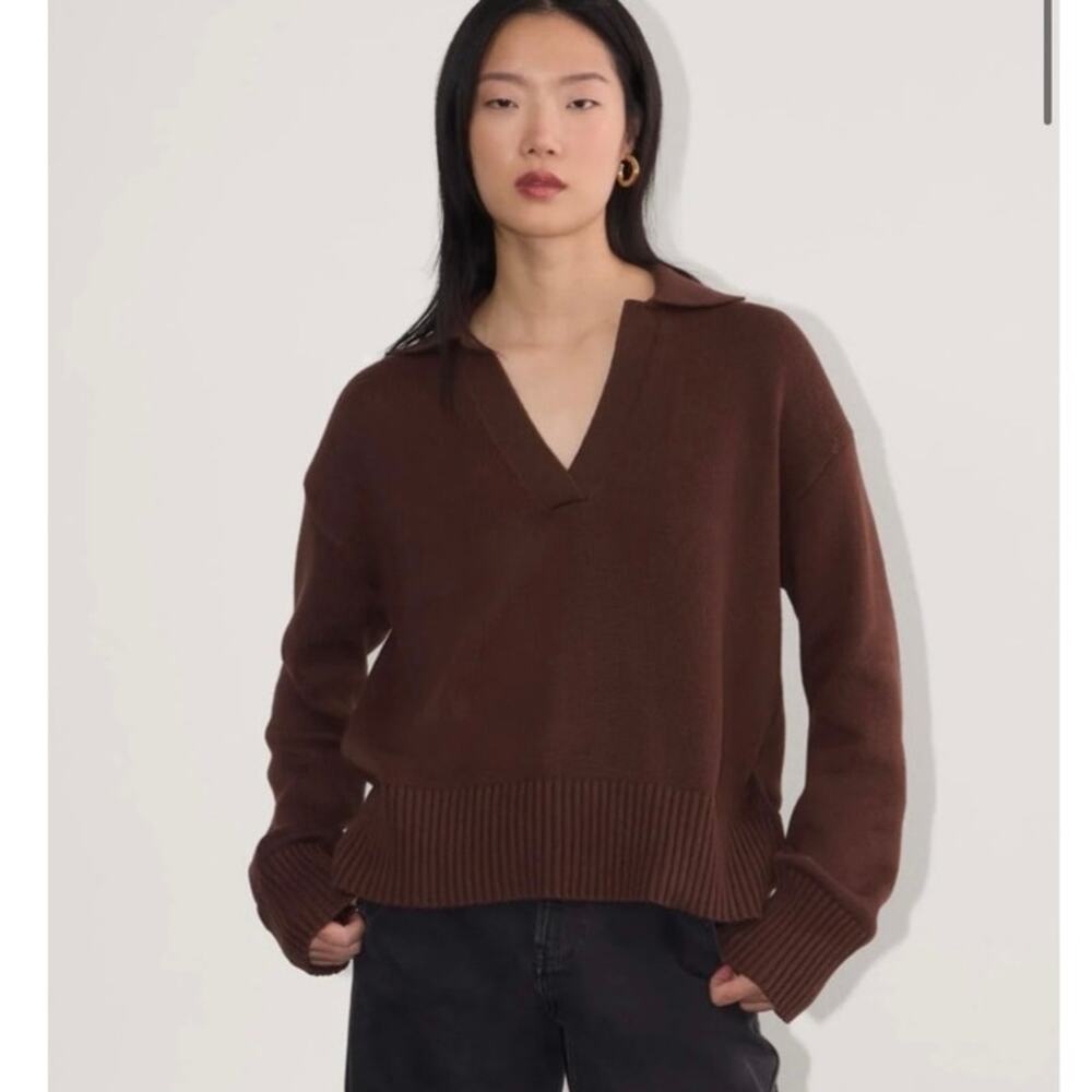 Everlane THE BOXY POLO IN EVERYDAY COTTON in Dark Mahogany Size XS NWT!